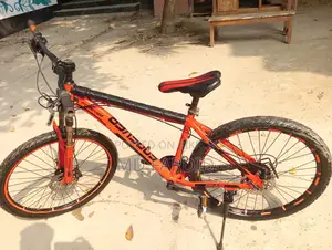 Forever Bicycle for sale