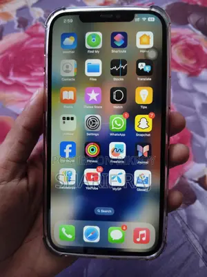 অ্যাপল আইফোন ১২ প্রো ম্যাক্স (ব্যবহৃত)