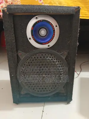 6 Inch 2 Speakers with Cabinet and Tweeter