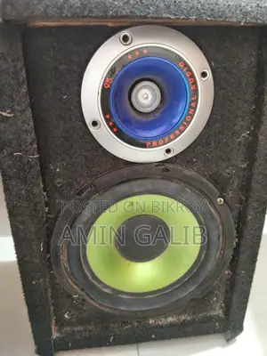6 Inch 2 Speakers with Cabinet and Twitter
