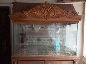 Aquarium For Sale
