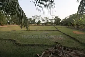 Shainter Neer Kuakata
