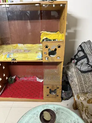Akashi Kath Cat House