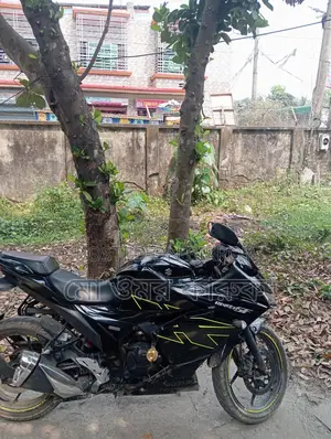 Suzuki Gixxer 250 . 2024
