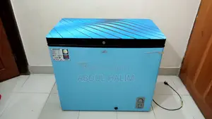 Walton 205 Liter Dip Fridge