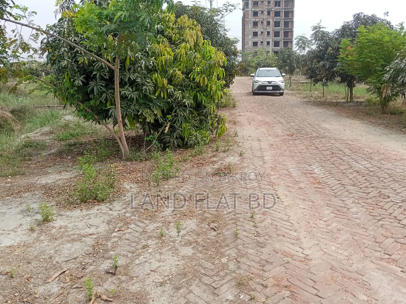 South-Facing @ 4 Katha Plot for Sale, Ati Model Society