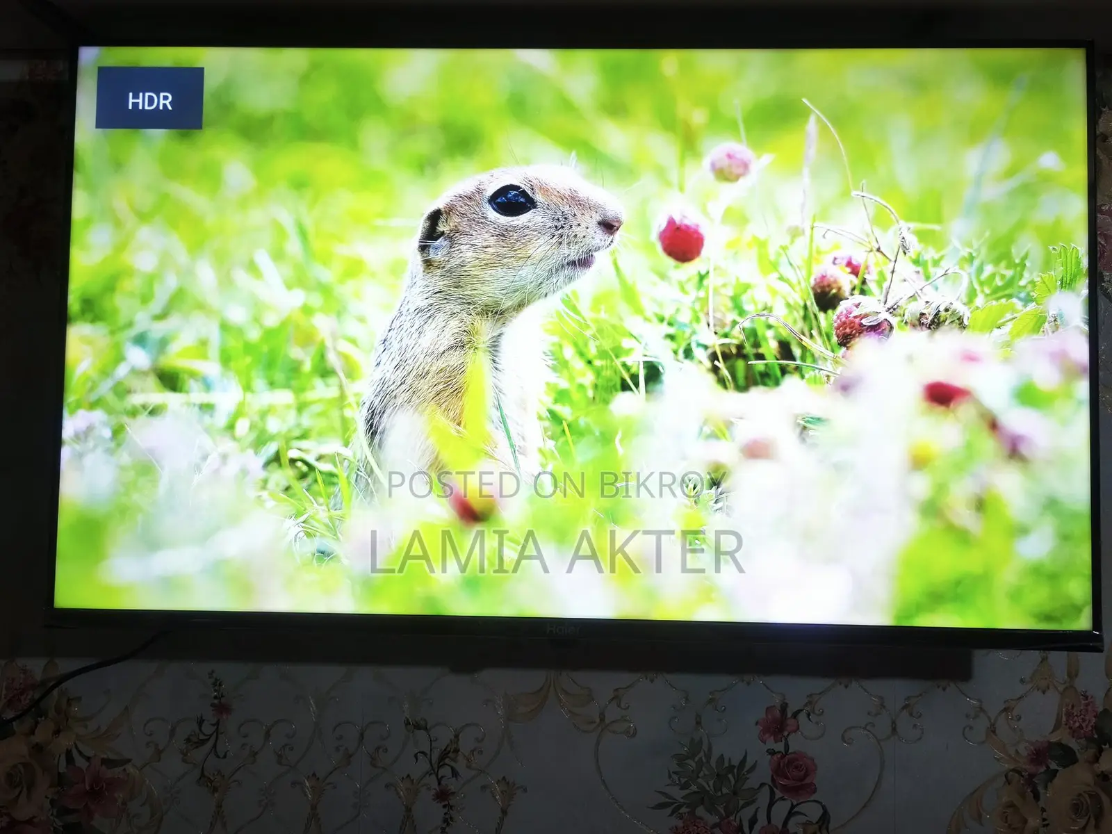 Haier 43" Google Voice Tv রিপ্লেসমেন্ট গ্যারান্টি, বক্স আছে