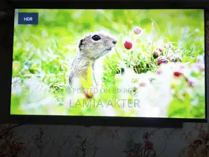 Haier 43" Google Voice Tv রিপ্লেসমেন্ট গ্যারান্টি, বক্স আছে