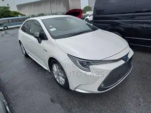Toyota Corolla WXB Pearl 4 Point 2020