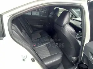 Toyota Corolla WXB Pearl 4 Point 2020