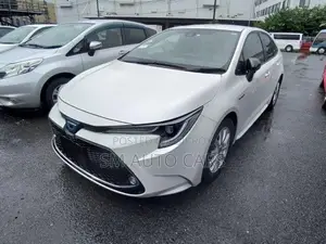 Toyota Corolla WXB Pearl 4 Point 2020
