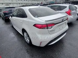 Toyota Corolla WXB Pearl 4 Point 2020