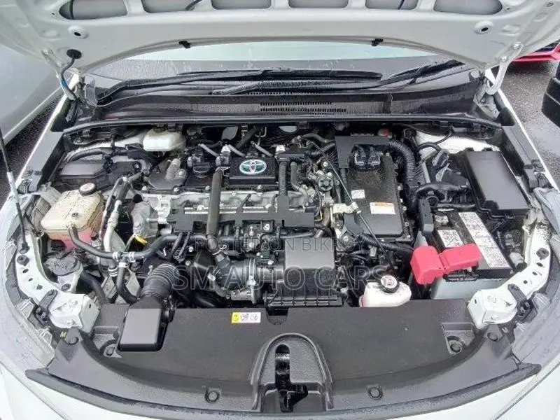 Toyota Corolla WXB Pearl 4 Point 2020