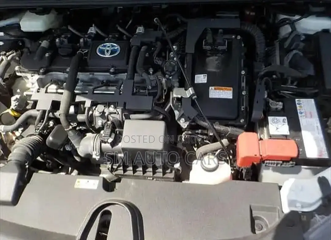 Toyota Corolla WXB Pearl 4 Point 2020