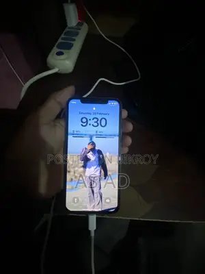 Apple iPhone X (Used)