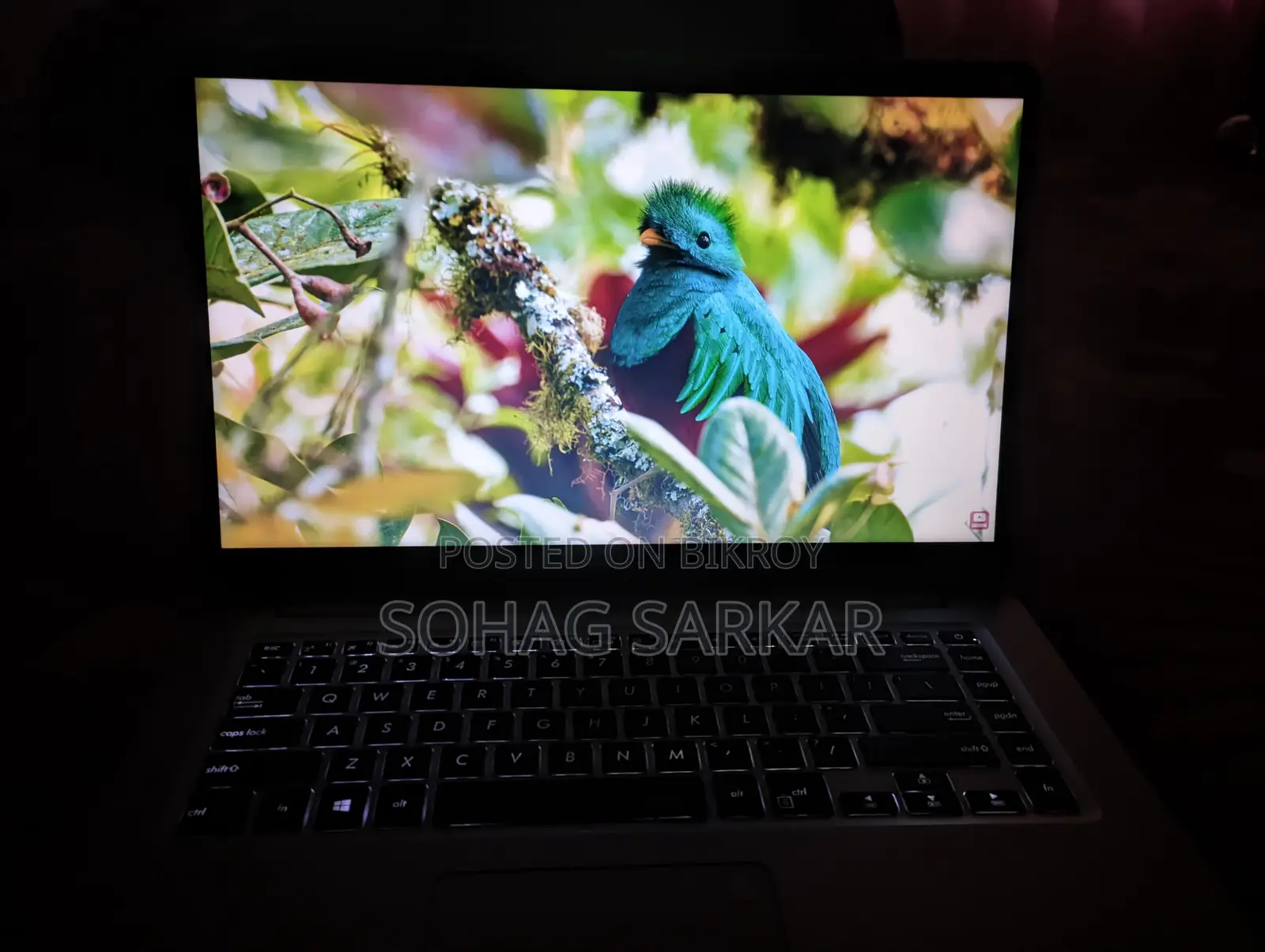 ASUS VivoBook S510U