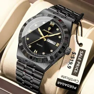 Luminous Quartz Men's Watch