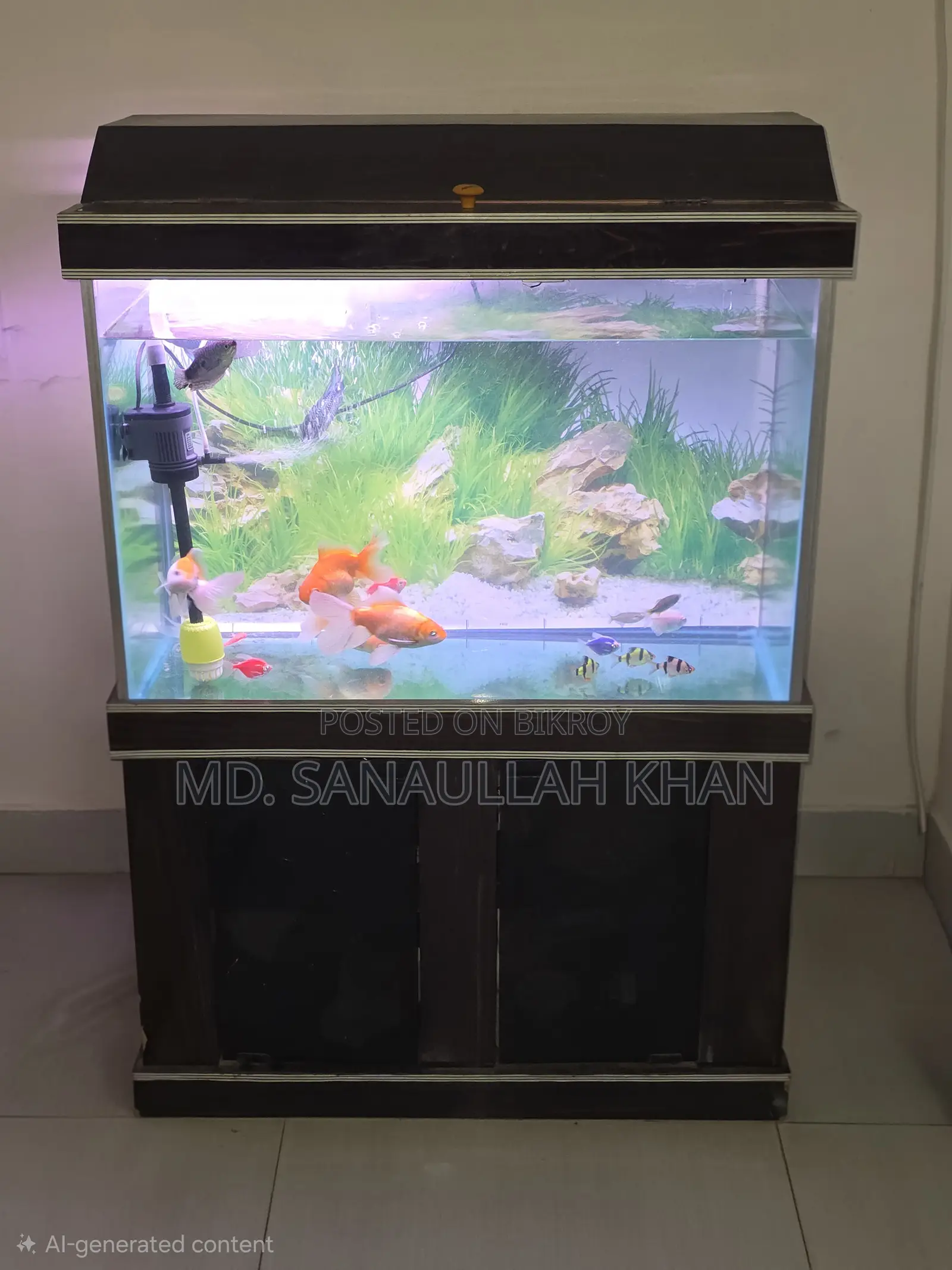 Fish Aquarium