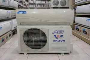 Walton 2 Ton Inverter AC