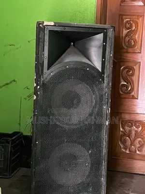 ১৬ ইঞ্চি ডাবল স্পিকার ৩ ভয়েস কয়েল ২৫০ সেট ফুল সেটআপ