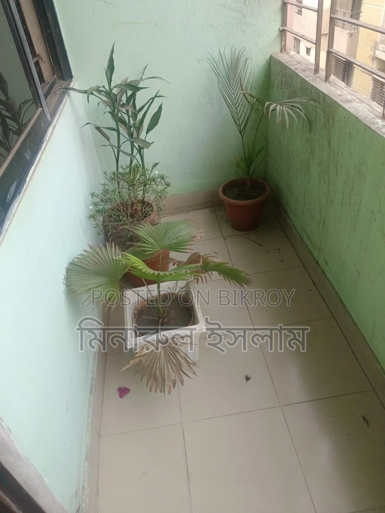সিট ভাড়া রুম