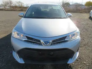Toyota Axio EX 2020
