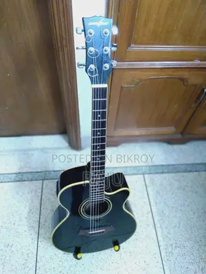 Levinhand Guitar