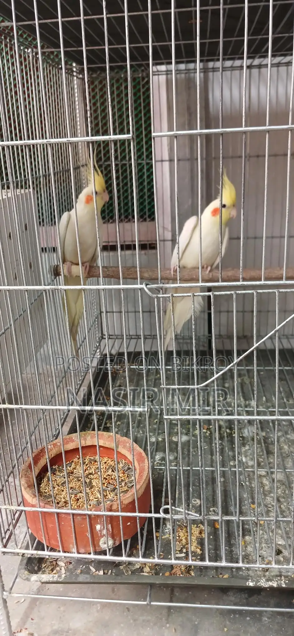 রানিং ককাটেল ২ পেয়ার