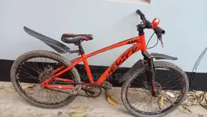Veloce Junior 1 Speed 20 Inch Red Bicycle