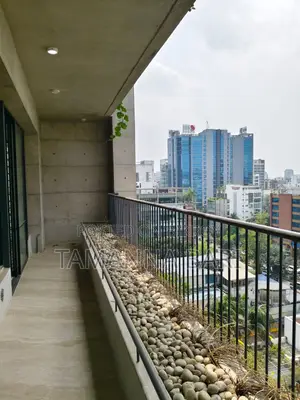 Luxury 4 Bed Apartment Rent in Gulshan-2