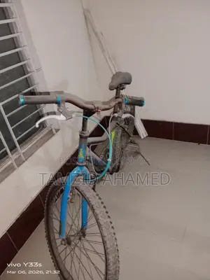 Prince Bicycle For Sale