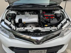 Toyota Axio X Super Fresh 2017