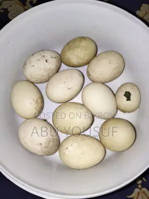 Chinese Duck Eggs