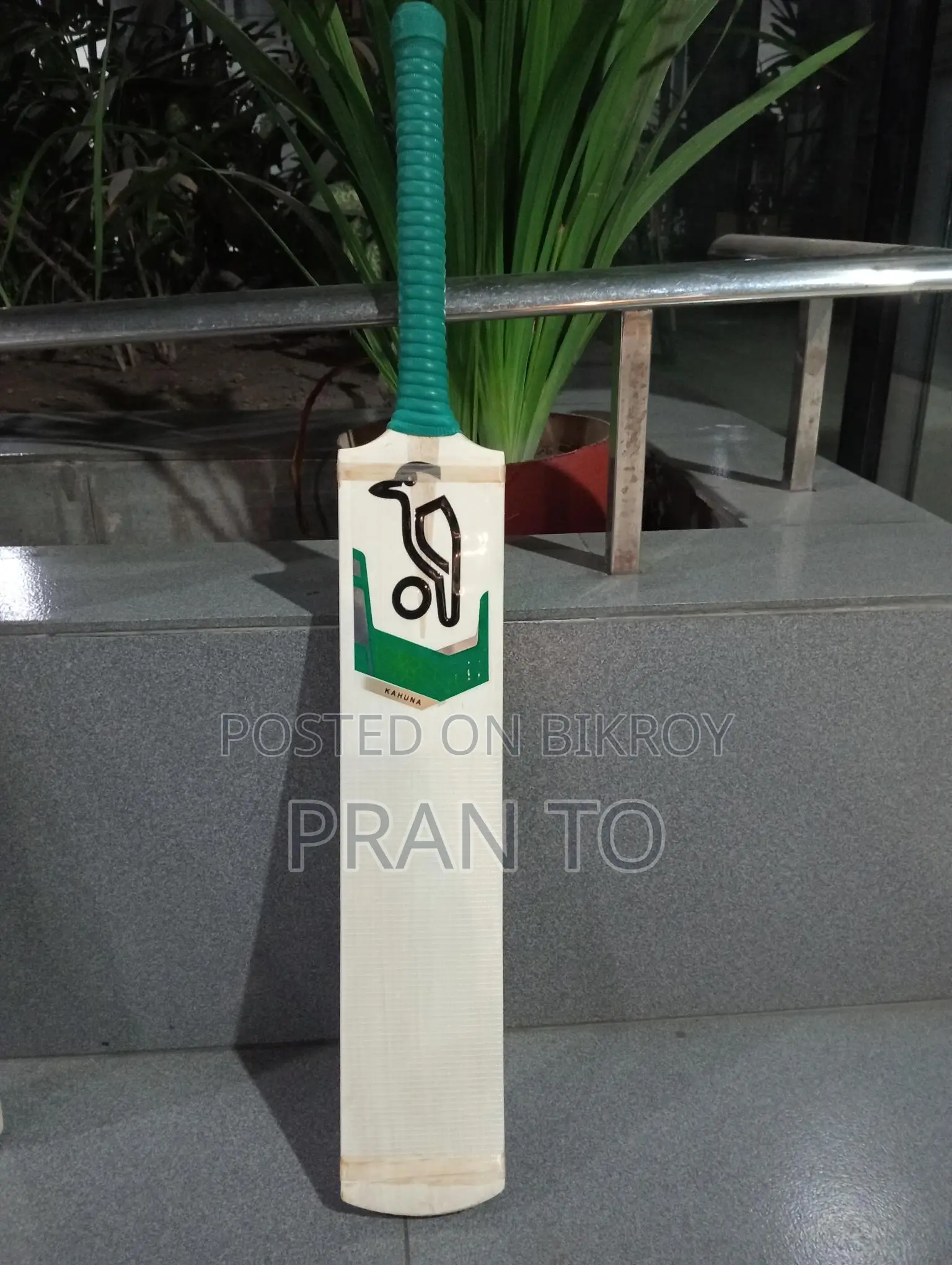 cricket bat