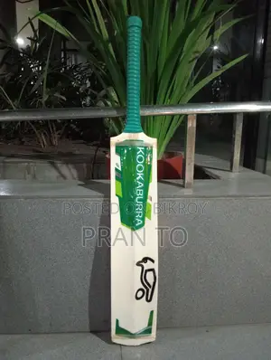 cricket bat
