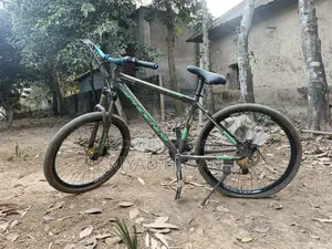 Phoenix Gear Cycle