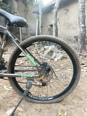 Phoenix Gear Cycle