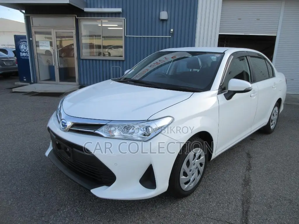 Toyota Axio EX 2021
