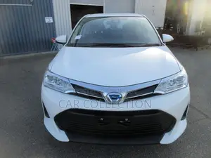 Toyota Axio EX 2021