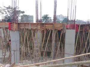 Airport Runway Space Preferred by Business Owners—Swapno Sindhu Project, Uttara