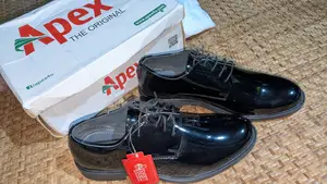 Apex Venturini Premium Leather Shoes for sale (Gifted).