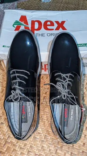 Apex Venturini Premium Leather Shoes for sale (Gifted).