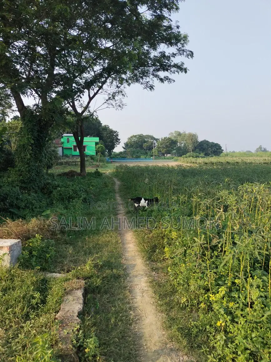 জমিনের কাগজ ১০০% ওকে উচু জমি মাটি ফালানো লাগবে না এখনি বাড়ি করার উপজুগি