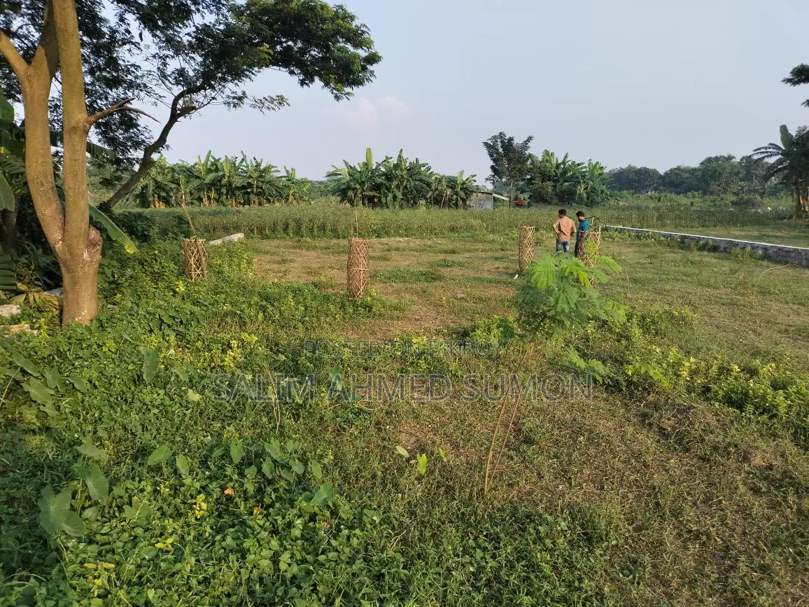 জমিনের কাগজ ১০০% ওকে উচু জমি মাটি ফালানো লাগবে না এখনি বাড়ি করার উপজুগি