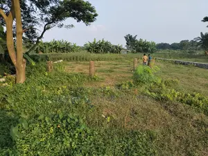 জমিনের কাগজ ১০০% ওকে উচু জমি মাটি ফালানো লাগবে না এখনি বাড়ি করার উপজুগি