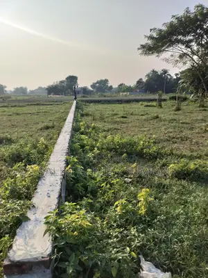 জমিনের কাগজ ১০০% ওকে উচু জমি মাটি ফালানো লাগবে না এখনি বাড়ি করার উপজুগি