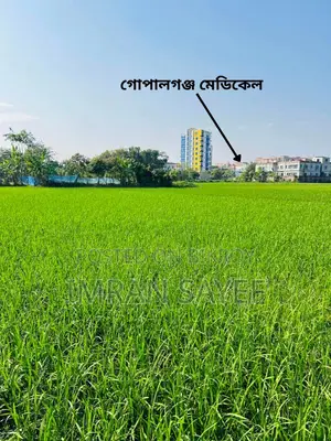7 decimal land for sale 2 minutes away from Gopalganj Medical