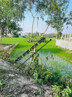 7 decimal land for sale 2 minutes away from Gopalganj Medical