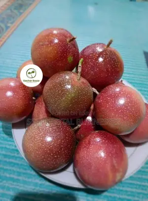Passion Fruit / Anarkali Saplings