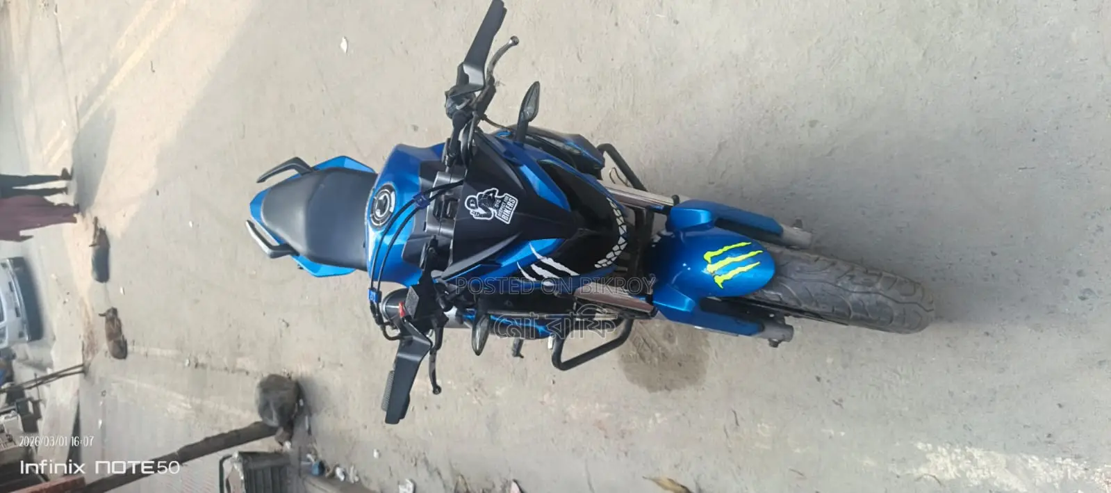 Roadmaster Rapido 2018